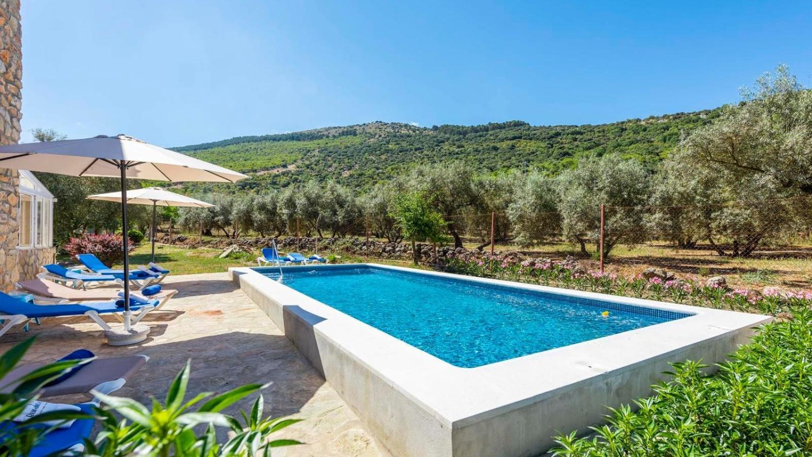 Casa Rural El Ciruelo Loco Alfarnate By Ruralidays Alfarnatejo Exteriör bild